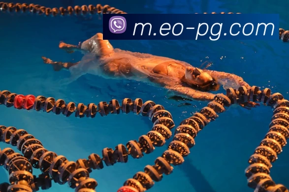 pg模拟器服务体系